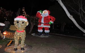 2025 12 02 SANARY SUR MER - PROMEDADE  AMBIANCE NOEL (69)